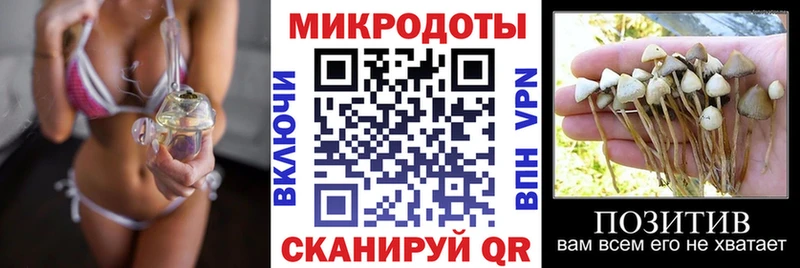 Галлюциногенные грибы прущие грибы  omg ссылка  Октябрьский  магазин продажи наркотиков 